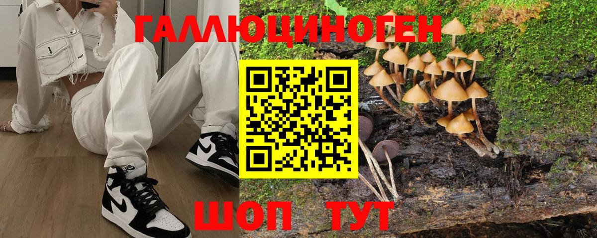 Галлюциногенные грибы GOLDEN TEACHER  Псилоцибиновые грибы прущие грибы  купить наркоту  Пушкино  Вход с VPN 